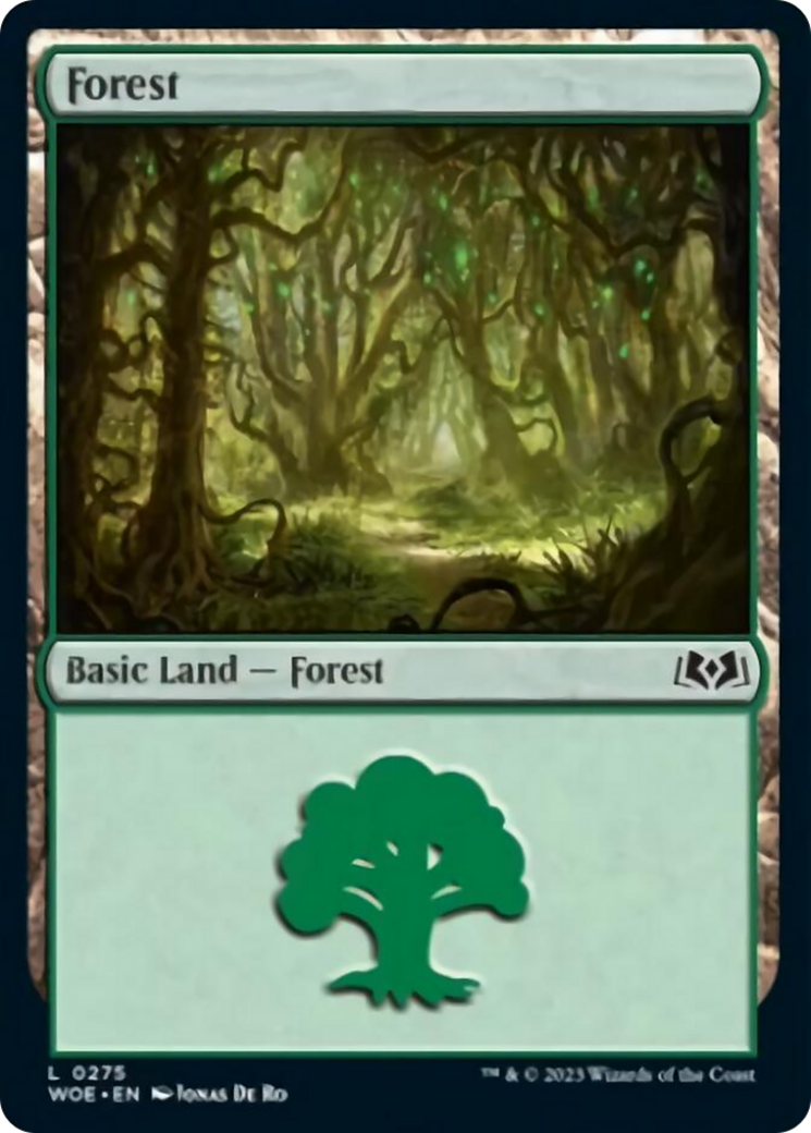 Forest (0275) [Wilds of Eldraine] | RetroPlay Games