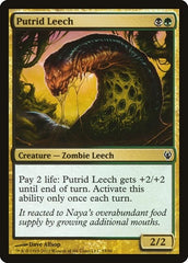 Putrid Leech [Duel Decks: Izzet vs. Golgari] | RetroPlay Games