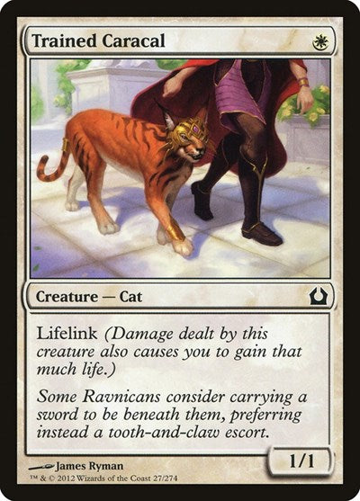 Trained Caracal [Return to Ravnica] | RetroPlay Games