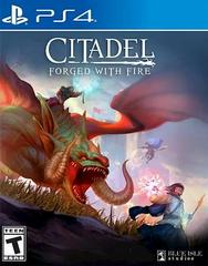 Citadel: Forged with Fire - Playstation 4 | RetroPlay Games
