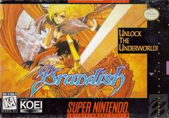 Brandish - Super Nintendo | RetroPlay Games