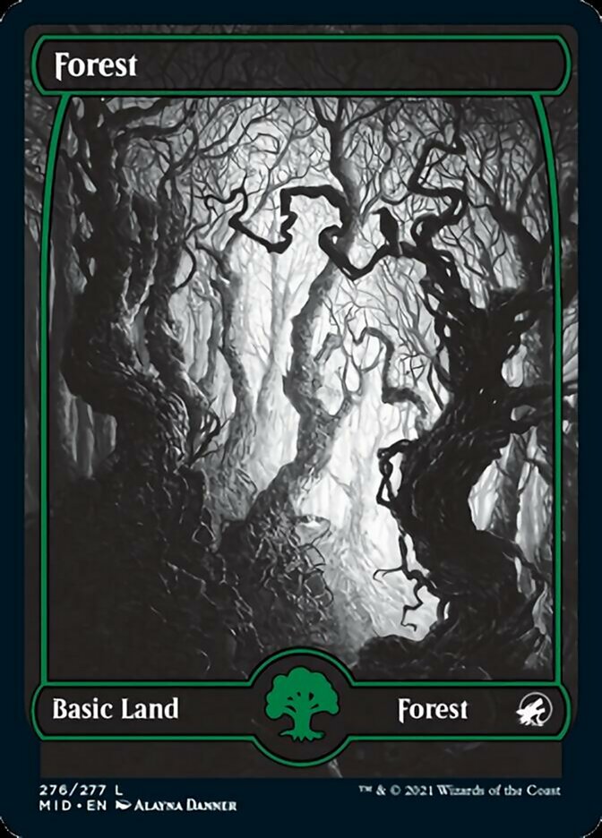 Forest (276) [Innistrad: Midnight Hunt] | RetroPlay Games