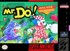 Mr. Do! - Super Nintendo | RetroPlay Games