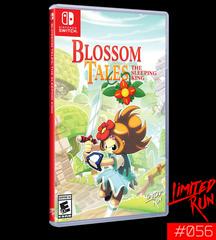 Blossom Tales: The Sleeping King - Nintendo Switch | RetroPlay Games