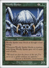 Woolly Spider [Deckmasters] | RetroPlay Games