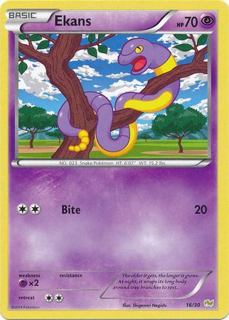 Ekans (16/30) [XY: Trainer Kit - Noivern] | RetroPlay Games