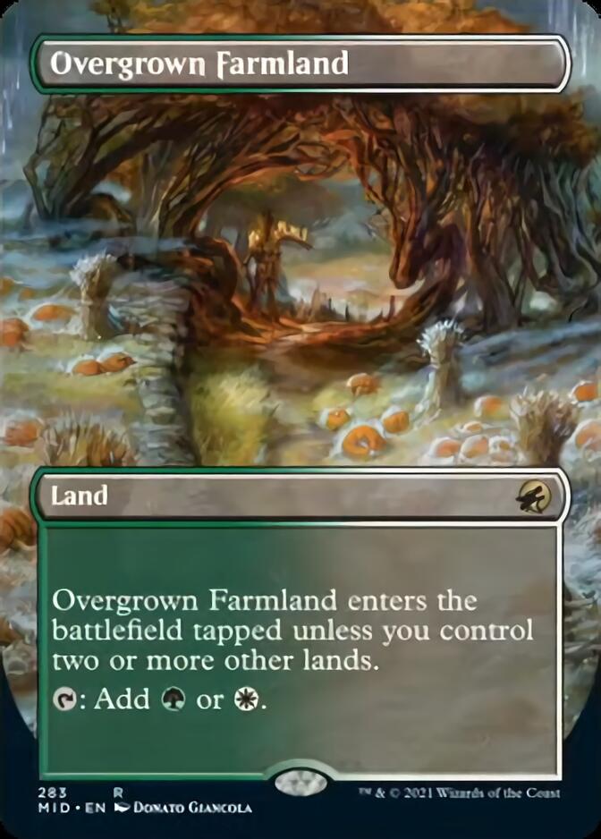 Overgrown Farmland (Borderless) [Innistrad: Midnight Hunt] | RetroPlay Games