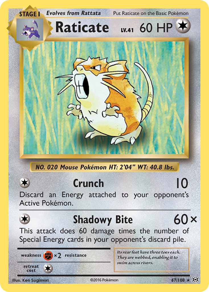 Raticate (67/108) [XY: Evolutions] | RetroPlay Games