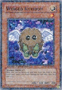 Winged Kuriboh [DT01-EN008] Common | RetroPlay Games