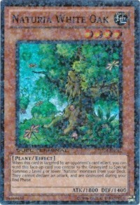 Naturia White Oak [DT04-EN081] Super Rare | RetroPlay Games