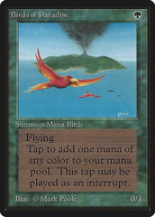 Birds of Paradise [Limited Edition Beta] | RetroPlay Games