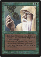 Ley Druid [Limited Edition Beta] | RetroPlay Games