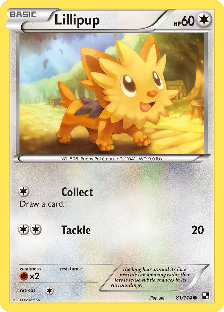 Lillipup (81/114) [Black & White: Base Set] | RetroPlay Games