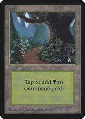 Forest [Limited Edition Alpha] | RetroPlay Games