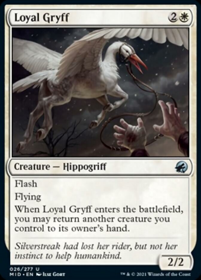 Loyal Gryff [Innistrad: Midnight Hunt] | RetroPlay Games