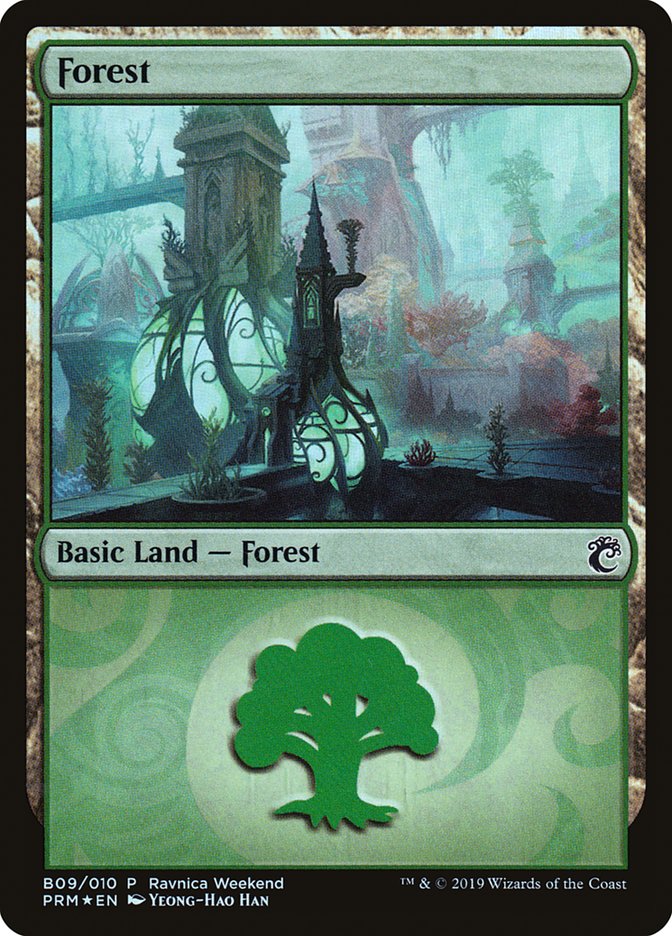 Forest (B09) [Ravnica Allegiance Guild Kit] | RetroPlay Games