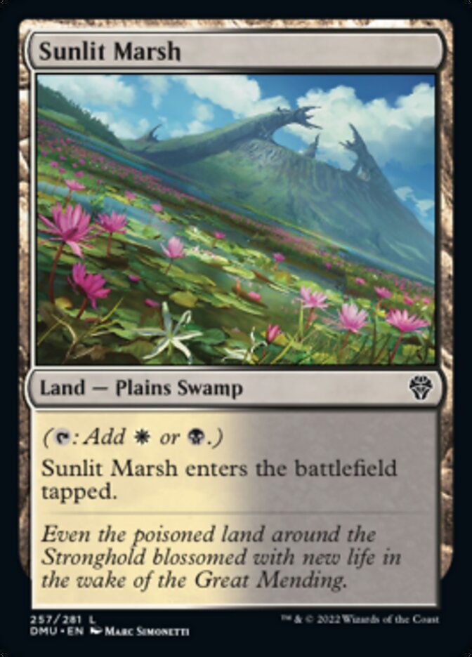 Sunlit Marsh [Dominaria United] | RetroPlay Games