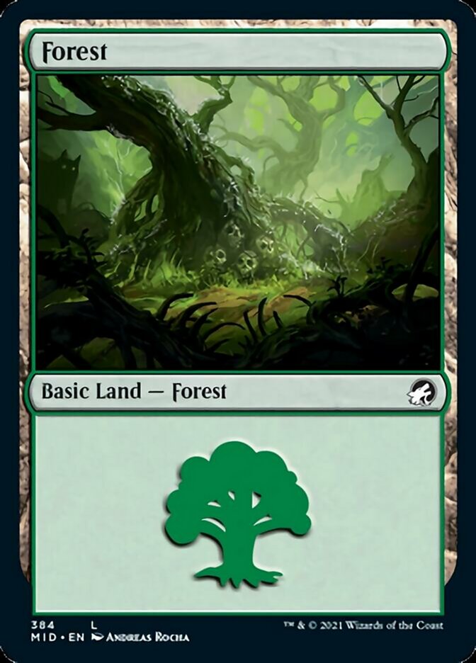 Forest (384) [Innistrad: Midnight Hunt] | RetroPlay Games