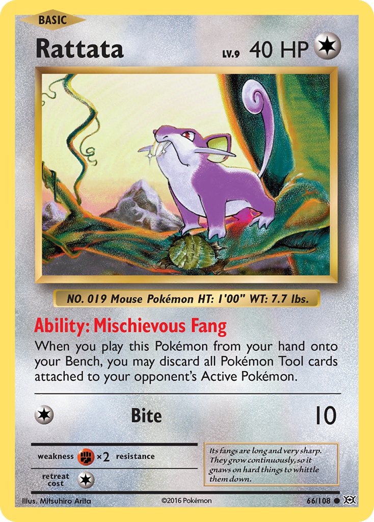 Rattata (66/108) [XY: Evolutions] | RetroPlay Games