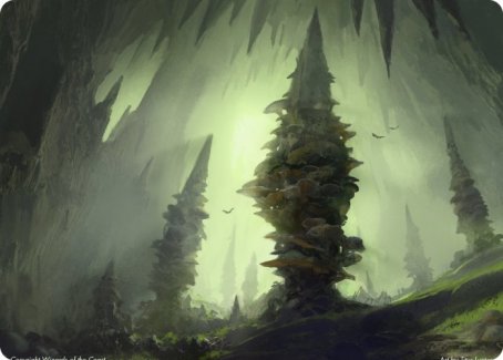 Forest (280) Art Card [Dungeons & Dragons: Adventures in the Forgotten Realms Art Series] | RetroPlay Games