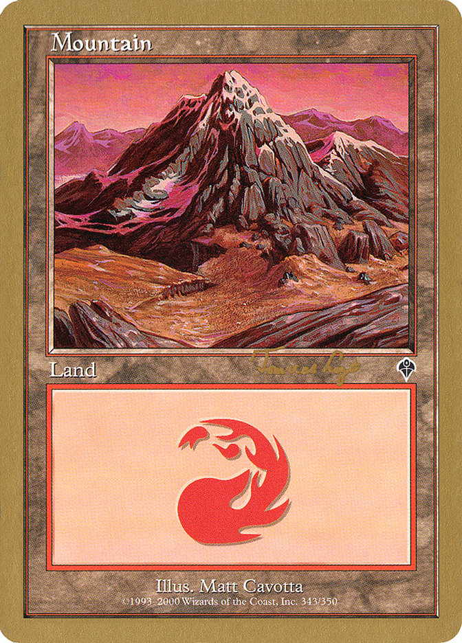 Mountain (tvdl343) (Tom van de Logt) [World Championship Decks 2001] | RetroPlay Games