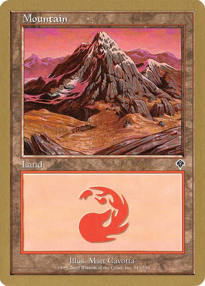 Mountain (jt343a) (Jan Tomcani) (INV) [World Championship Decks 2001] | RetroPlay Games