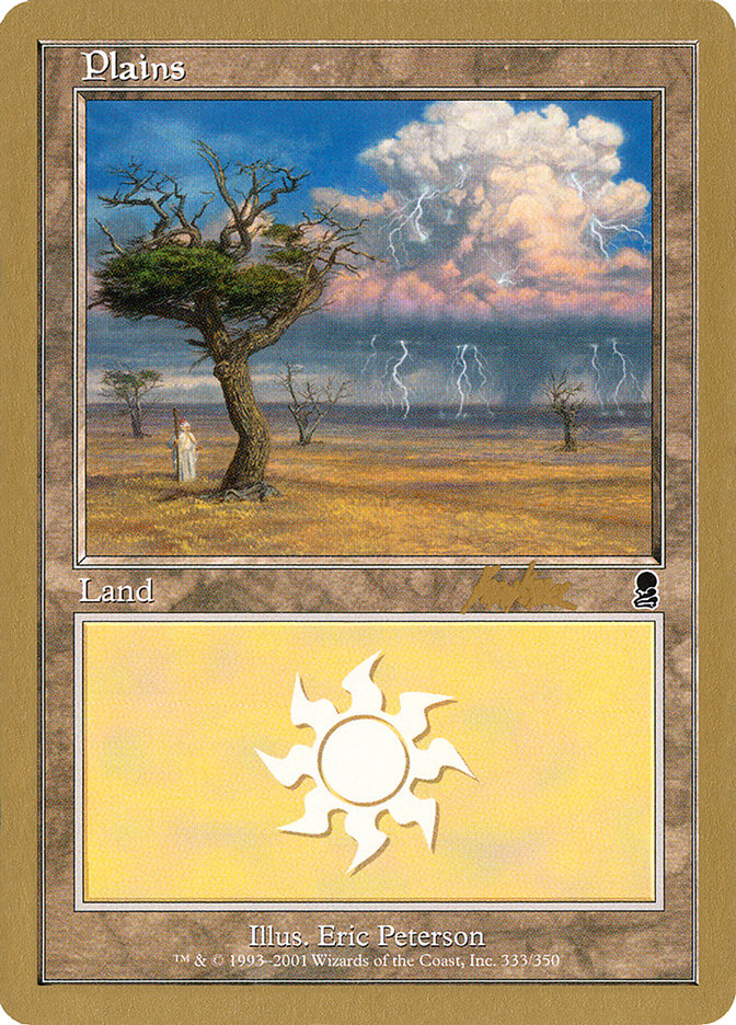 Plains (bk333) (Brian Kibler) [World Championship Decks 2002] | RetroPlay Games